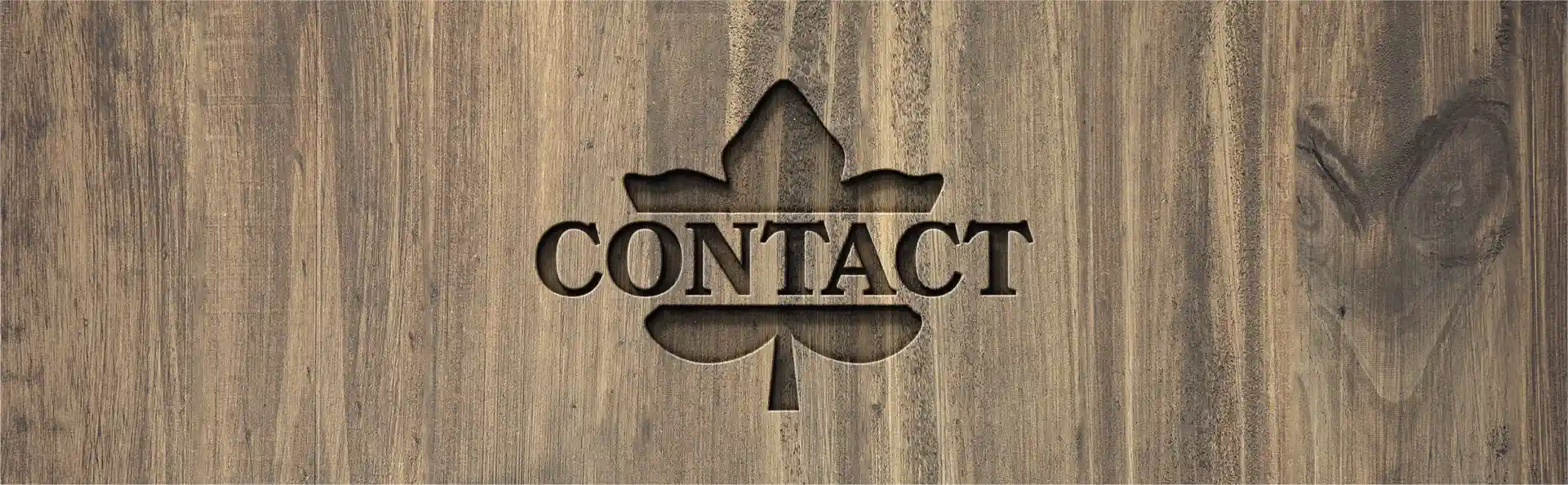 Contact