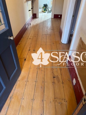 pine floor sanding clifton
